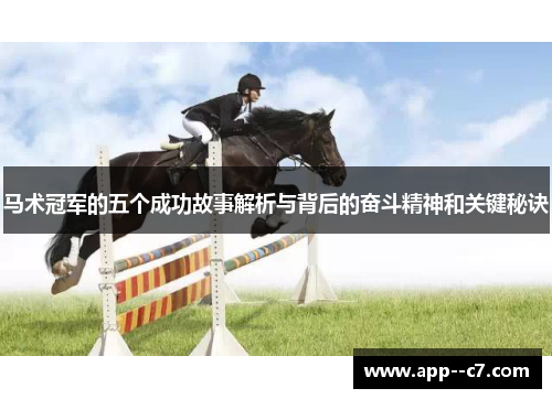 马术冠军的五个成功故事解析与背后的奋斗精神和关键秘诀