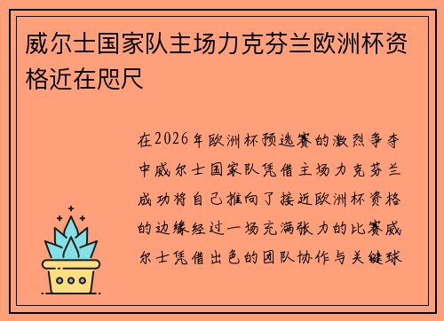 威尔士国家队主场力克芬兰欧洲杯资格近在咫尺